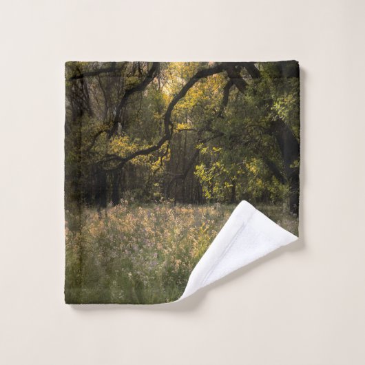 Rustikale romantische, blumengeschmückte Blume Ba Badhandtuch Set (Waschlappen)