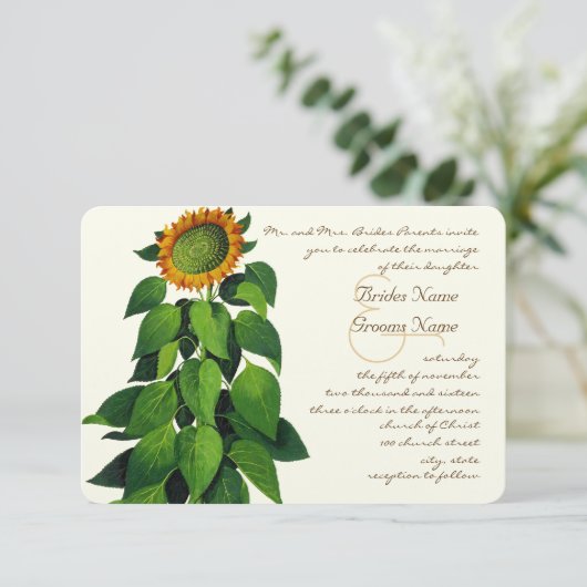 Rustikale romantische Sonnenblume Einladung (Stehend Vorderseite)