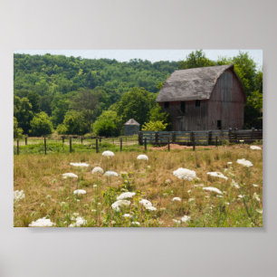 Rustikale Scheune und Queen Annes Lace Poster
