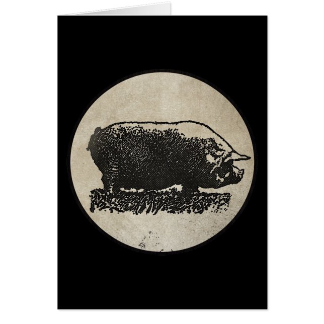 Rustikale Schwein-Radierung (Vorne)