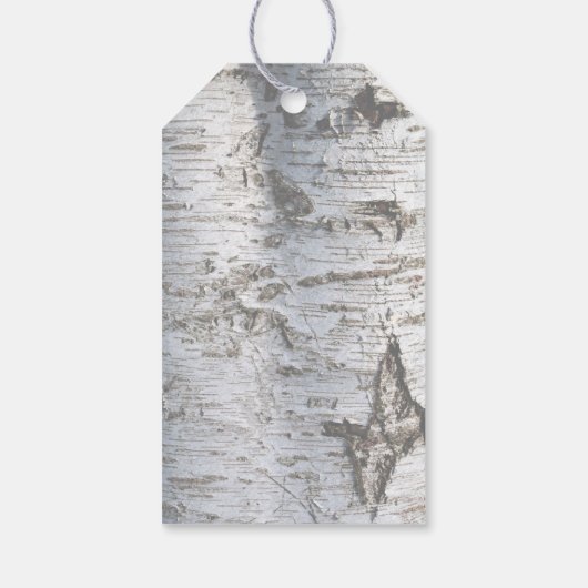 Rustikale Silver Birch Tree Babydusche Geschenkanhänger (Rückseite)