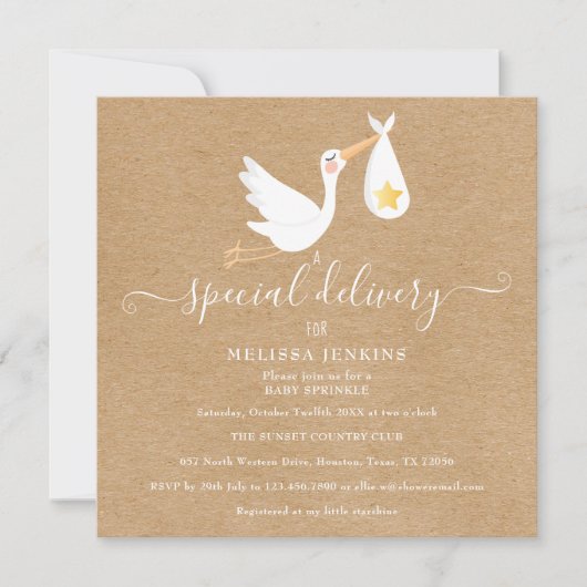 Rustikale Sonderlieferung Storch Baby Sprinkle Dus Einladung (Vorderseite)