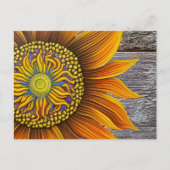 Rustikale Sonnenblume an der Barbe Postkarte (Vorderseite)