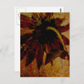 Rustikale Sonnenblume Postkarte (Vorne/Hinten)