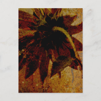 Rustikale Sonnenblume Postkarte