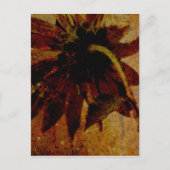 Rustikale Sonnenblume Postkarte (Vorderseite)