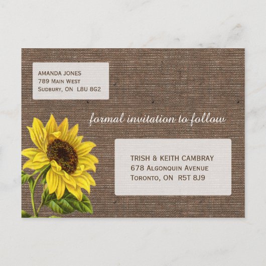 Rustikale Sonnenblume Save the Date Ankündigungspostkarte (Rückseite)