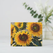 Rustikale Sonnenblumen auf der Tafel Print Postkarte (Stehend Vorderseite)
