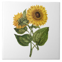 Rustikale Sonnenblumen-Dekoration Fliese