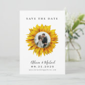 Rustikale Sonnenblumen Foto Hochzeit speichern das Save The Date (Stehend Vorderseite)