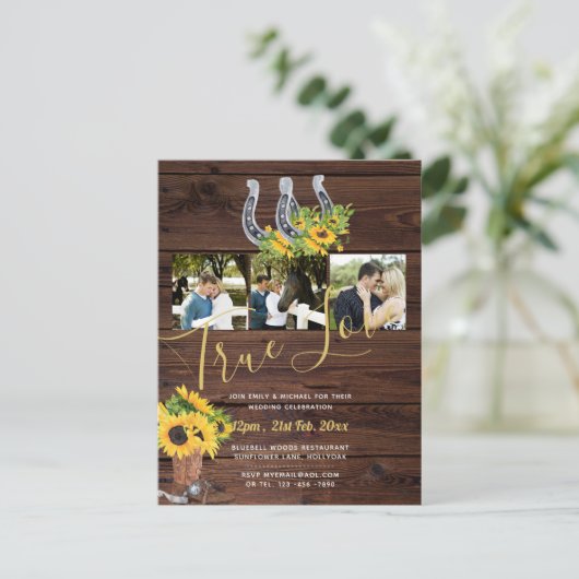 Rustikale Sonnenblumen Western Barn Horseshos Foto Postkarte (Stehend Vorderseite)