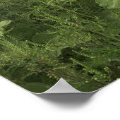 Rustikale Sonnenblumenfelder Poster (Ecke)