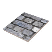 Rustikale Steinwand Fliese (Seite)