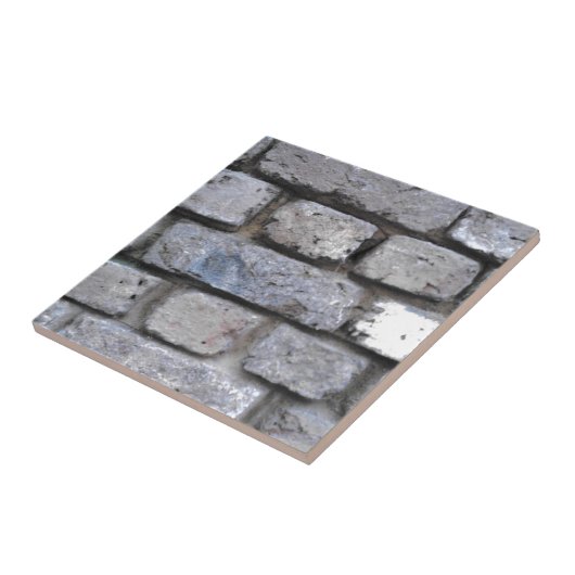 Rustikale Steinwand Fliese (Seite)