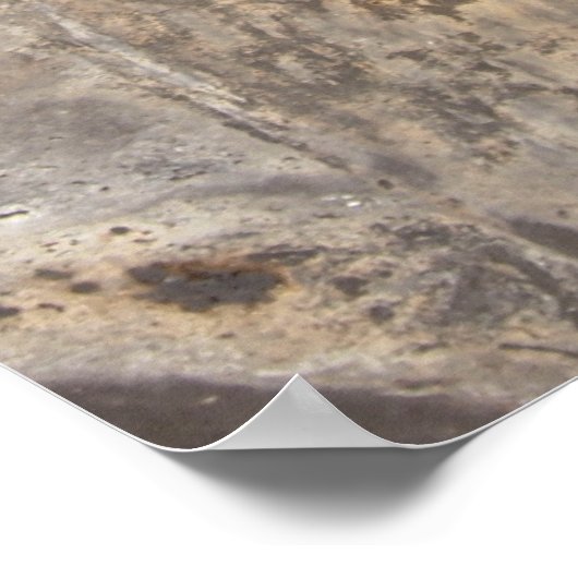 Rustikale Straße Canvas Print Poster (Ecke)