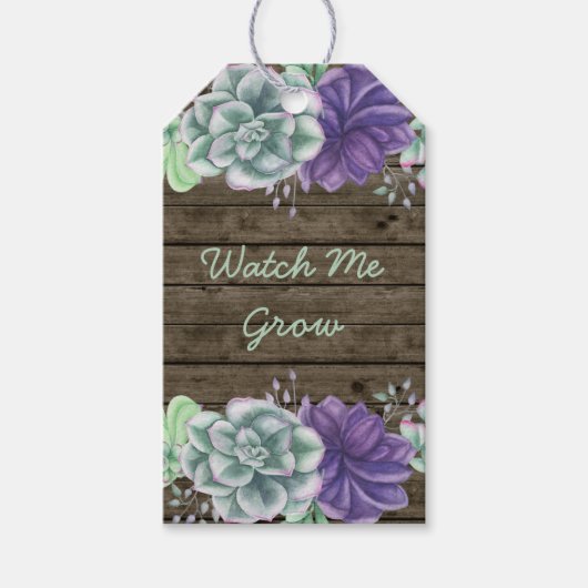 Rustikale Sukkulent beobachten, wie ich eine Babyd Geschenkanhänger (Vorderseite)