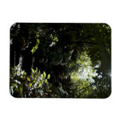 Rustikale Treppe/Fußweg im Wald, Sonnenlicht Magnet (Horizontal)
