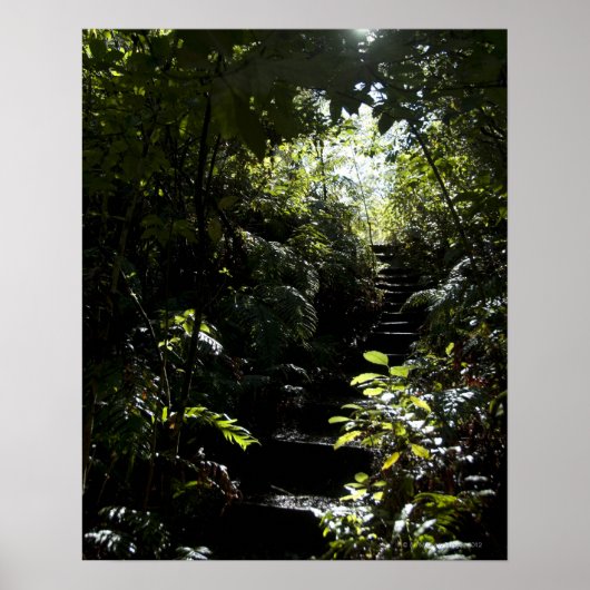 Rustikale Treppe/Fußweg im Wald, Sonnenlicht Poster (Vorne)