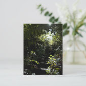 Rustikale Treppe/Fußweg im Wald, Sonnenlicht Postkarte (Stehend Vorderseite)