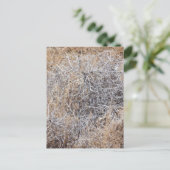 Rustikale trockene Tumblewede Postkarte (Stehend Vorderseite)