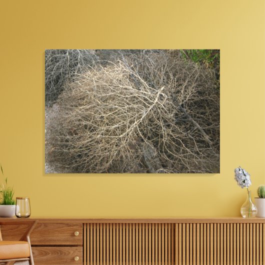 Rustikale Tumbleweed Wrapped Canvas Art Leinwanddruck (Insitu (Wohnzimmer))