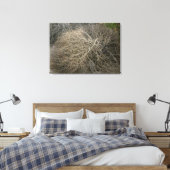 Rustikale Tumbleweed Wrapped Canvas Art Leinwanddruck (Insitu (Schlafzimmer))