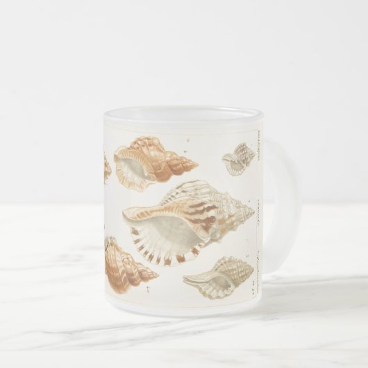 Rustikale Vintage Mollusken Seashell Kaffee Tasse (VorderseiteRechts)