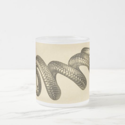 Rustikale Vintage Schwarze Schlange Mattglastasse (Mittel)