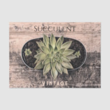 Rustikale Vintage Sukkulente Grüne Botanische Ephe