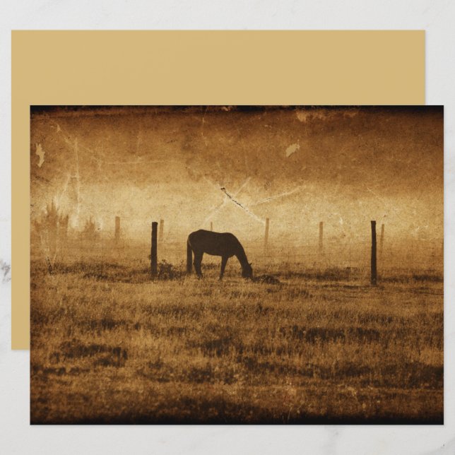 Rustikale Vintage Textur (Vorne/Hinten)