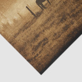 Rustikale Vintage Textur Seidenpapier (Ausschnitt)