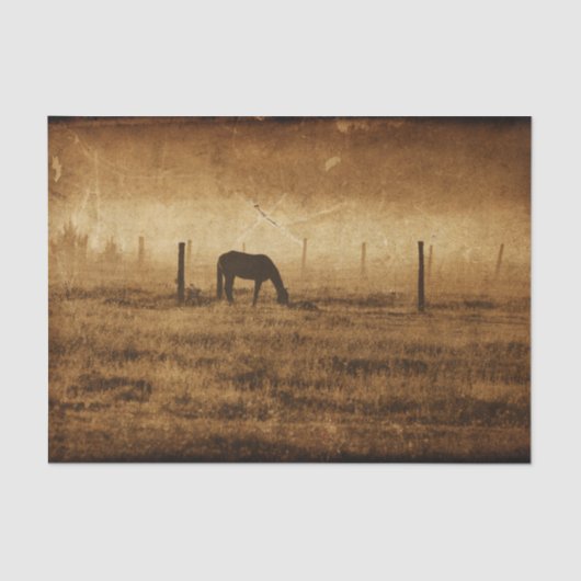 Rustikale Vintage Textur Seidenpapier (Vorderseite)
