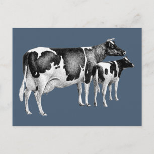 Rustikale Vintage-Zeichnung von Kuh und Kalb in Bl Postkarte