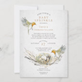 Rustikale Vögel und Nest Watercolor Baby Sprinkle Einladung (Vorderseite)