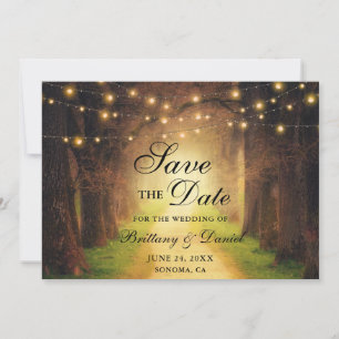 Rustikale Wald Path String Lights Hochzeit Save The Date