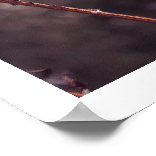 Rustikale Warmfall Wildblume Bauernhof Kunst Poster (Ecke)