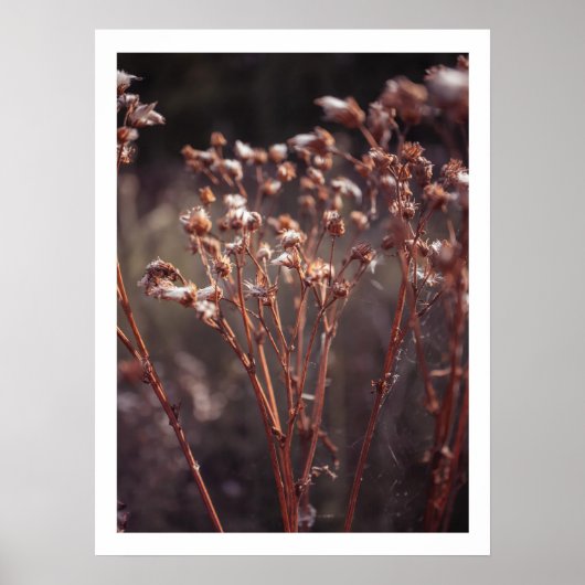 Rustikale Warmfall Wildblume Bauernhof Kunst Poster (Vorne)
