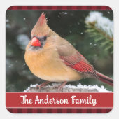 Rustikale Weihnachten Nordischer Kardinal Karierte Quadratischer Aufkleber (Vorderseite)