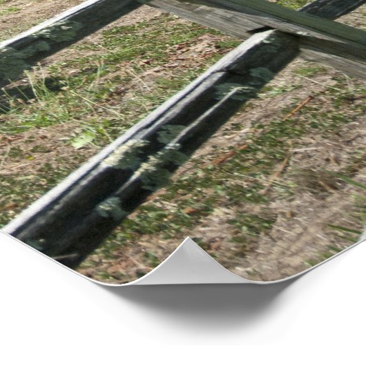 Rustikale Weingärten Poster (Ecke)