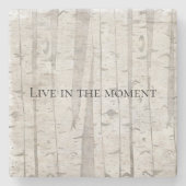 Rustikale weiße Birkenbäume Steinuntersetzer (Vorderseite)