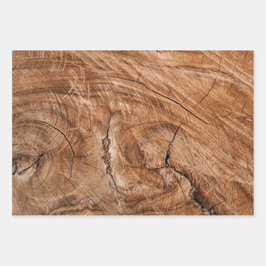 Rustikale weiße Poinsettien und Grünpflanzen Geschenkpapier Set (Vorderseite 2)