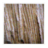 Rustikale Western-Holz-Designer-Fliese Fliese (Vorderseite)