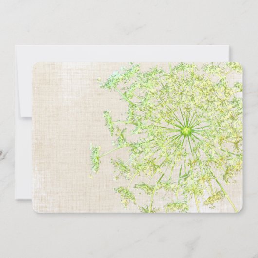 Rustikale Wildblume Gelbe Königin Annes Lace Einladung (Rückseite)