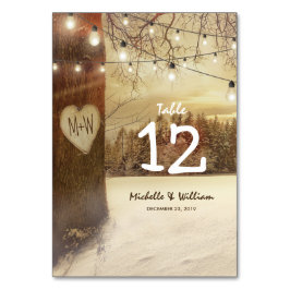 Rustikale Winterbaumleuchten Hochzeiten Tischnumme Tischnummer