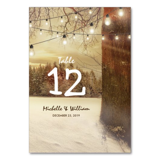 Rustikale Winterbaumleuchten Hochzeiten Tischnumme Tischnummer (Rückseite)