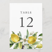 Rustikale Zitrusfrüchte Zitrusfrüchte Tischnummer (Rückseite)