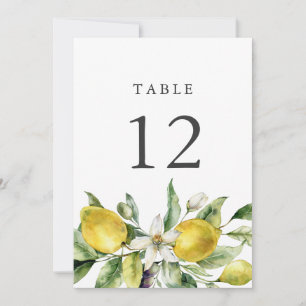 Rustikale Zitrusfrüchte Zitrusfrüchte Tischnummer