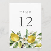 Rustikale Zitrusfrüchte Zitrusfrüchte Tischnummer (Vorderseite)