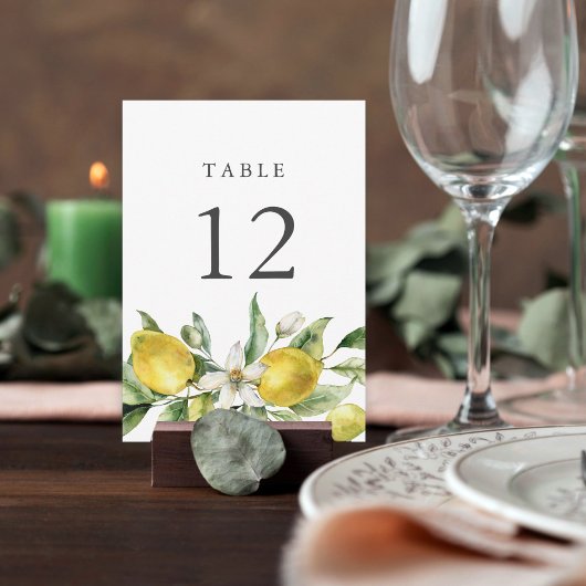 Rustikale Zitrusfrüchte Zitrusfrüchte Tischnummer