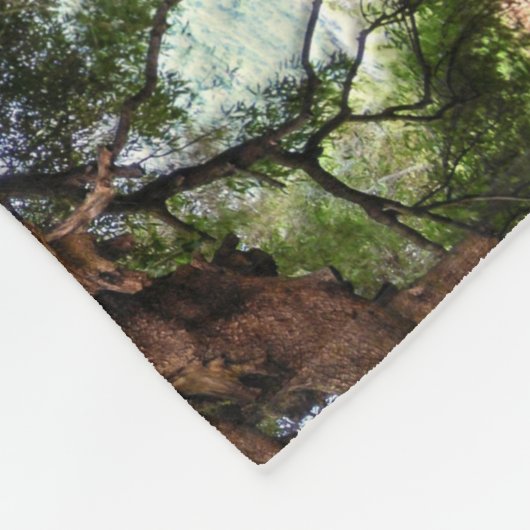 Rustikaler alter Olivenbaum Fleecedecke (Ecke)